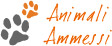 animali ammessi