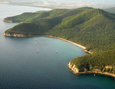 La spiaggia di Cala Violina