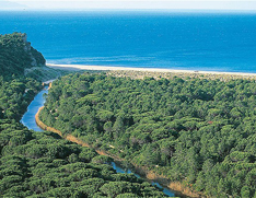 La spiaggia di Collelungo